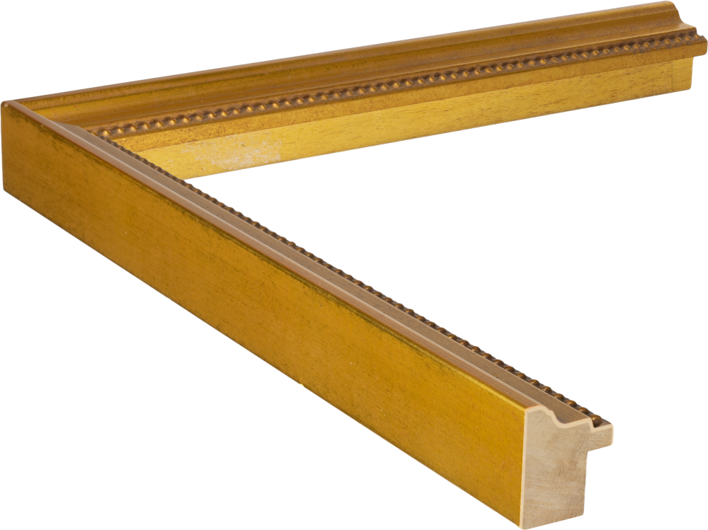 Hudson Gold