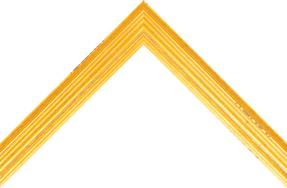Hudson Gold