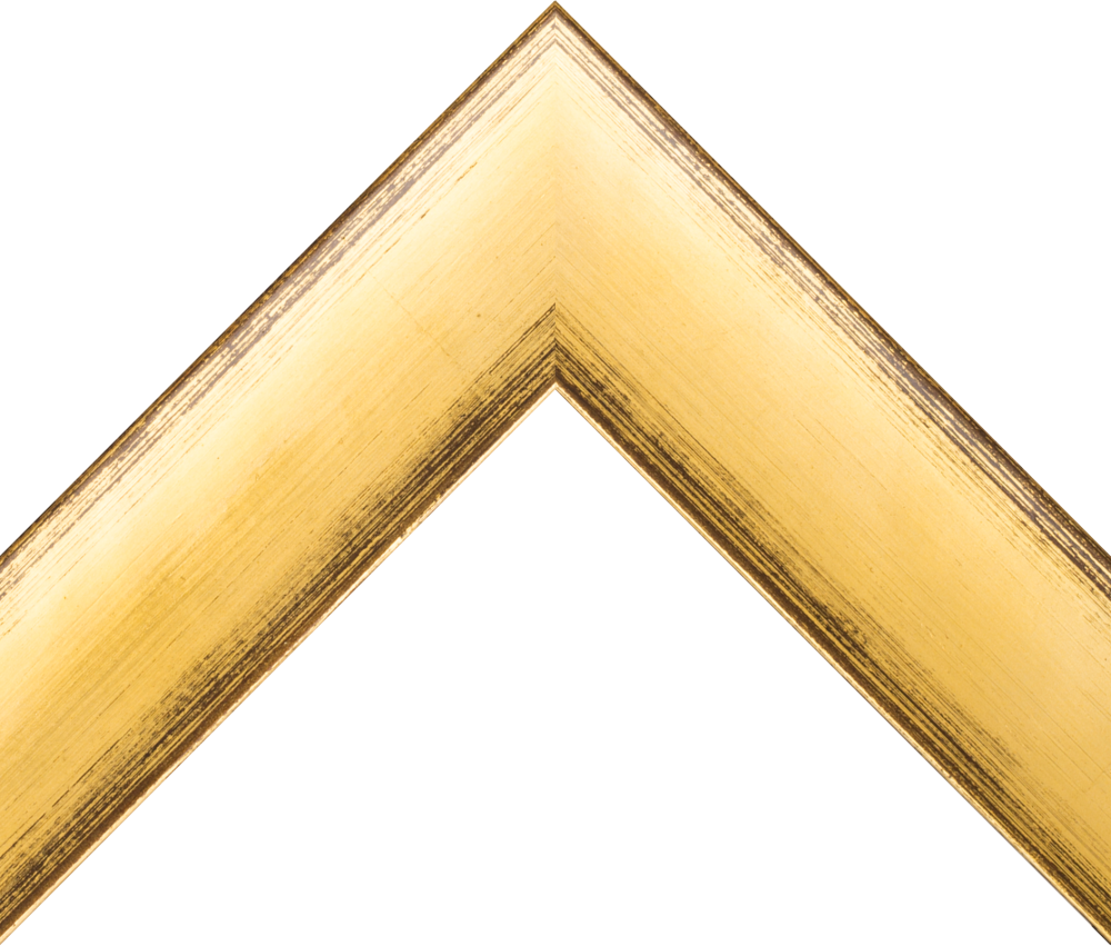 Spencer Gold and Black