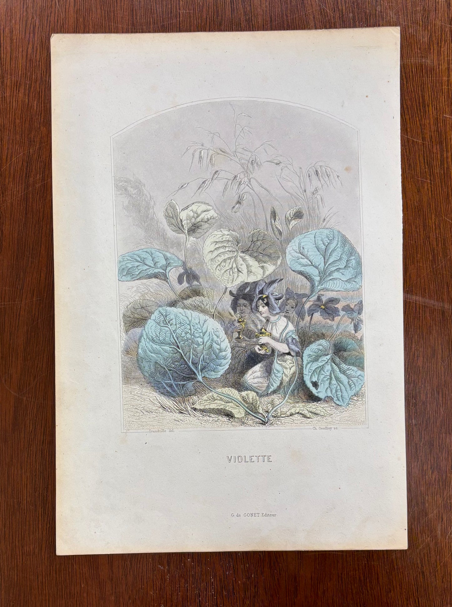 Violette by J.J. Grandville