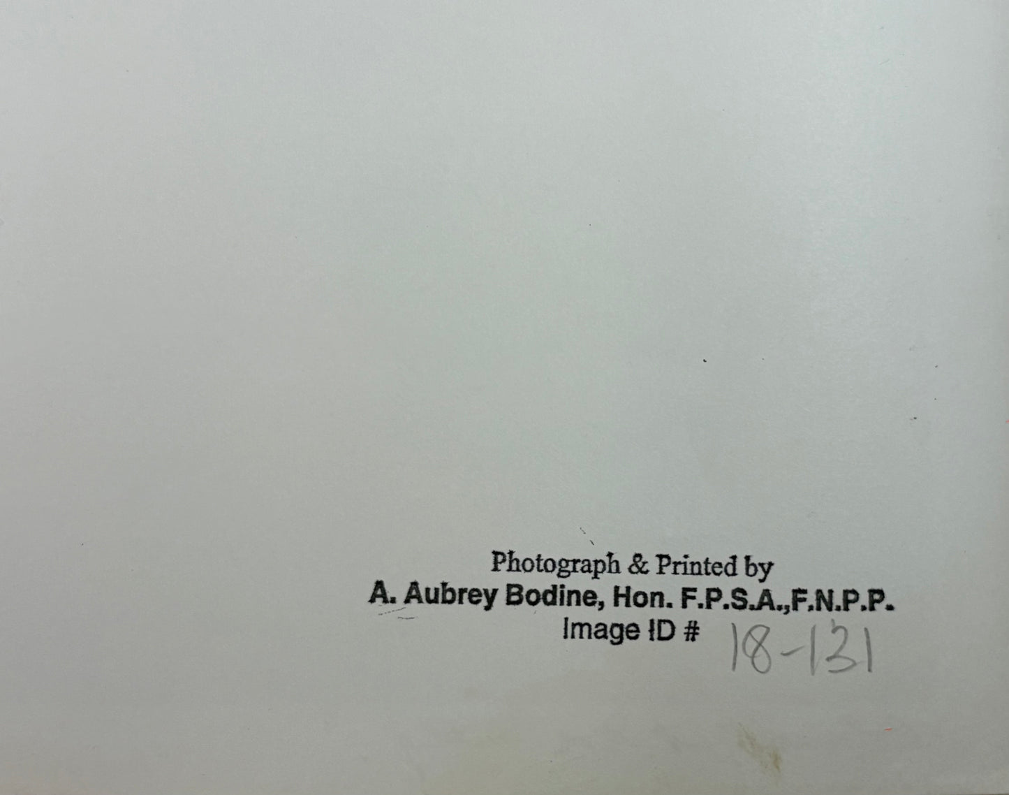 A. Aubrey Bodine, Potomac at Doe Gully, Signed Photograph, c. 1965