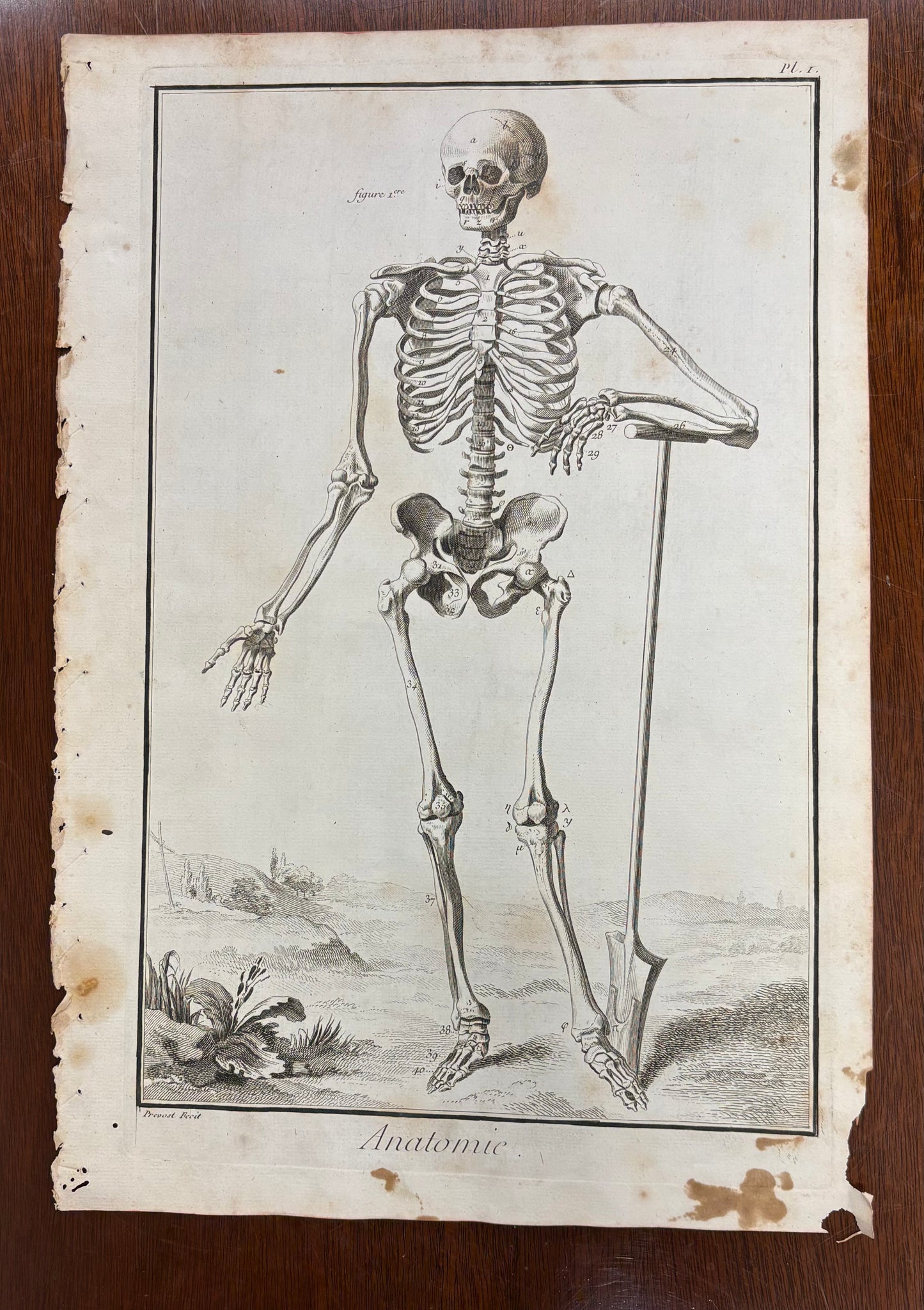 Grave Digger by Louis-Jacques Goussier