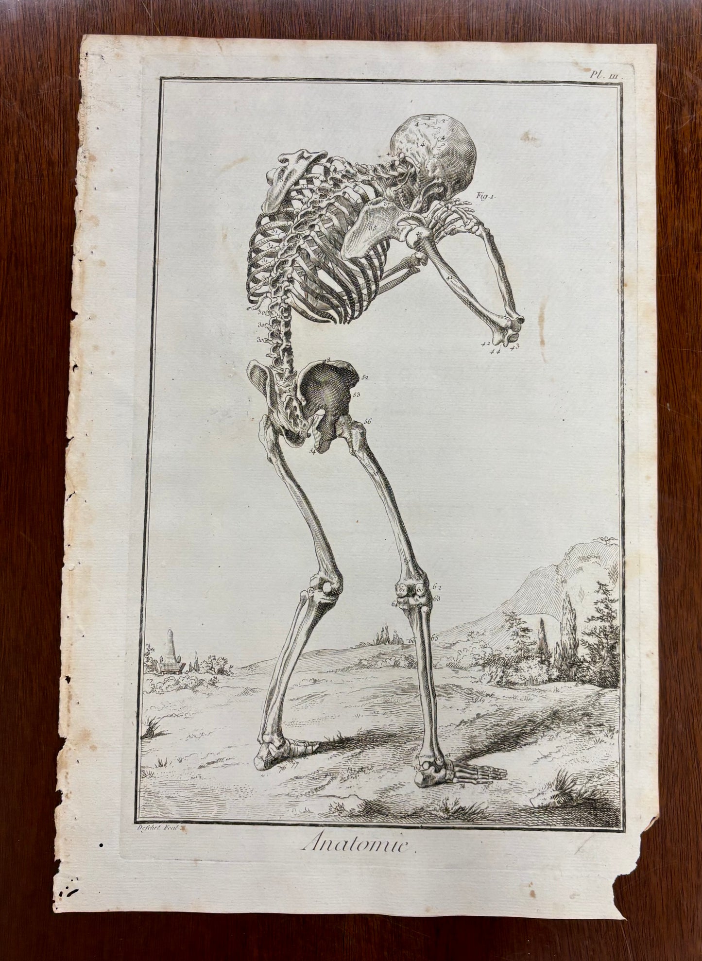 Grieving Skeleton by Louis-Jacques Goussier