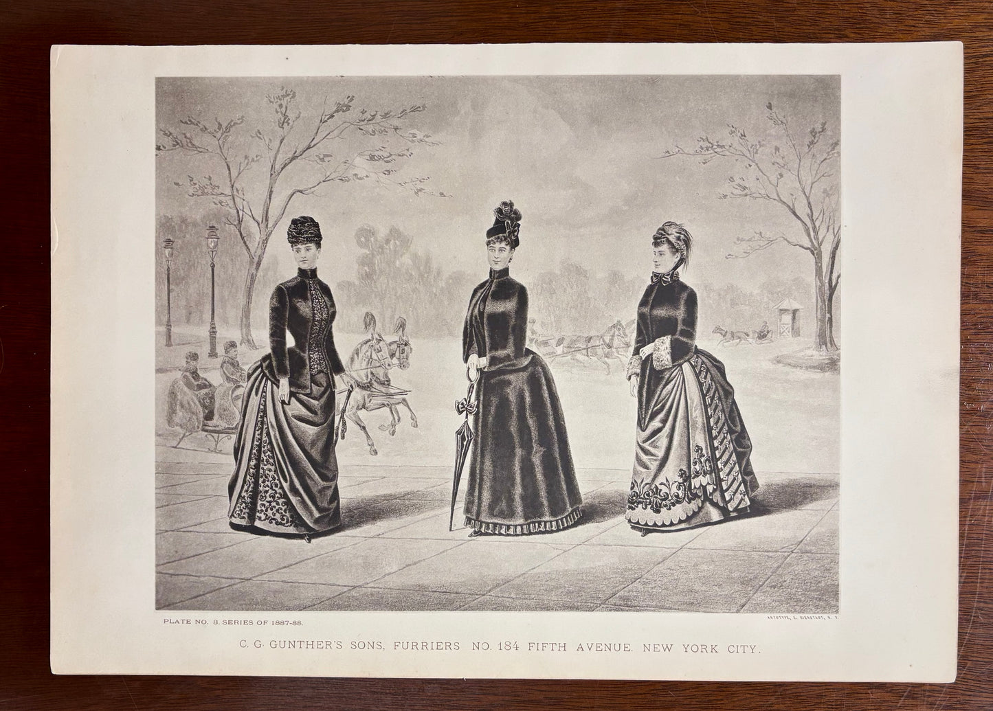 Plate No. 8 by Anonymous artist