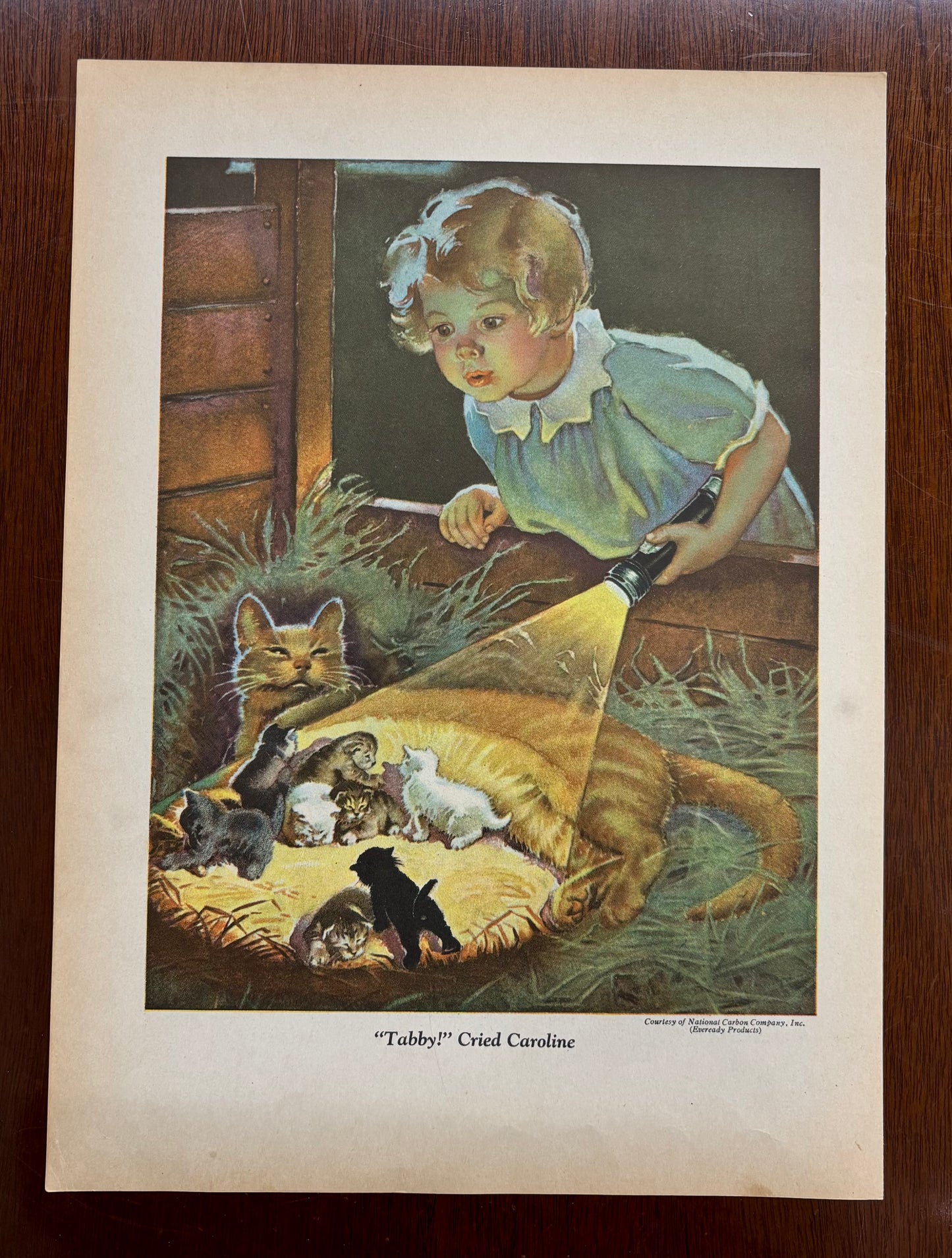 "Tabby!Cried Caroline"by Frances Tipton Hunter