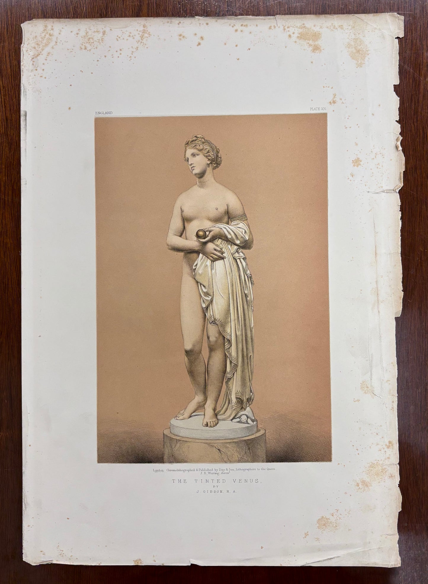 The Tinted Venus by John Gibson