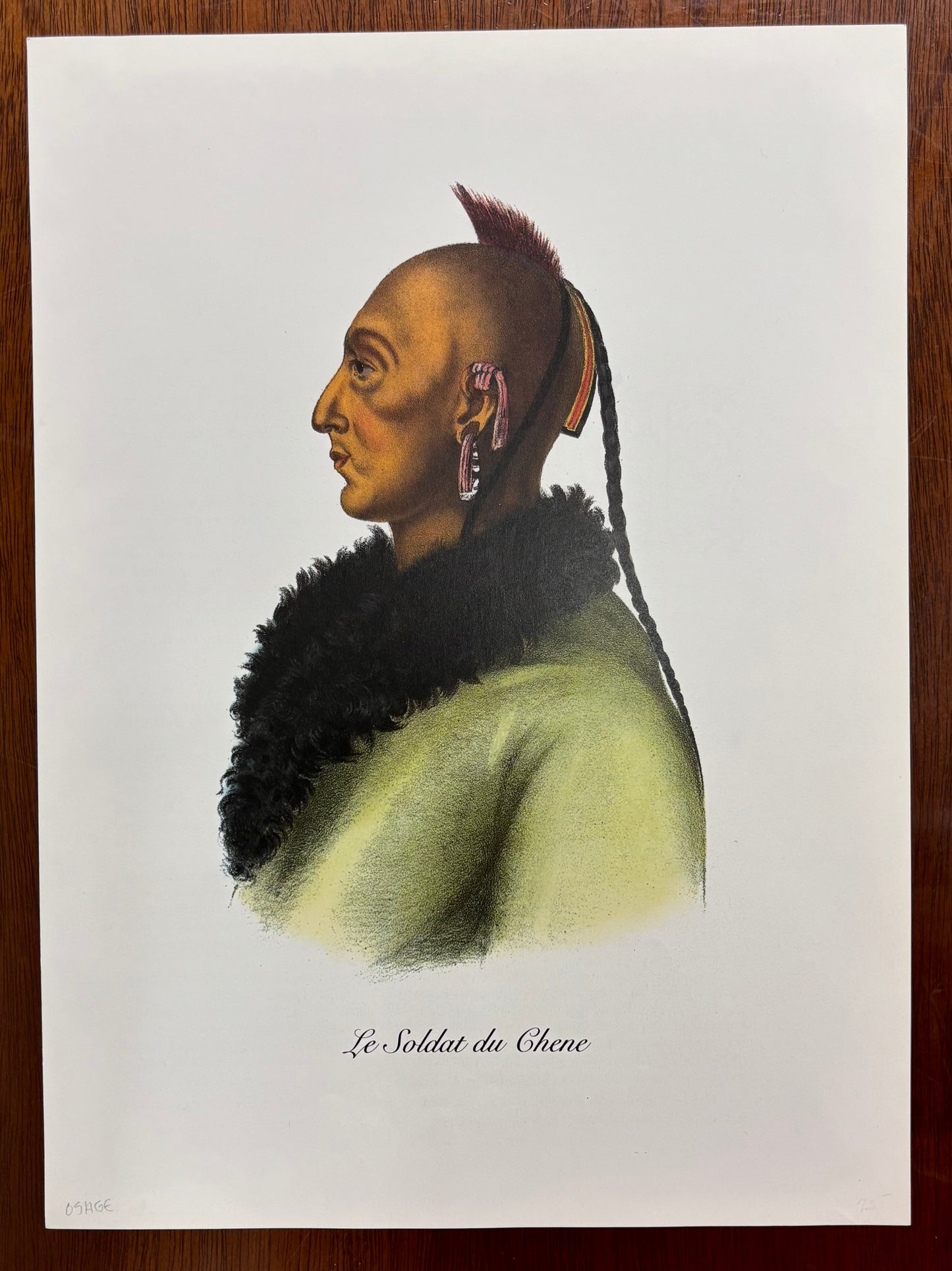 “Le Soldat du Chene” by Charles Bird King