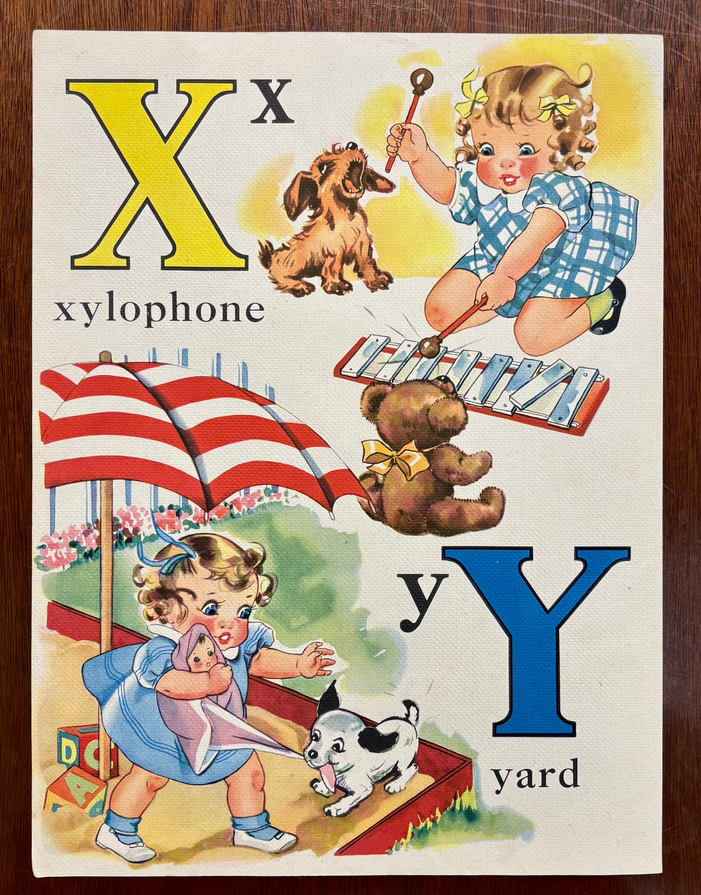 X and Y by Vivian Robbins