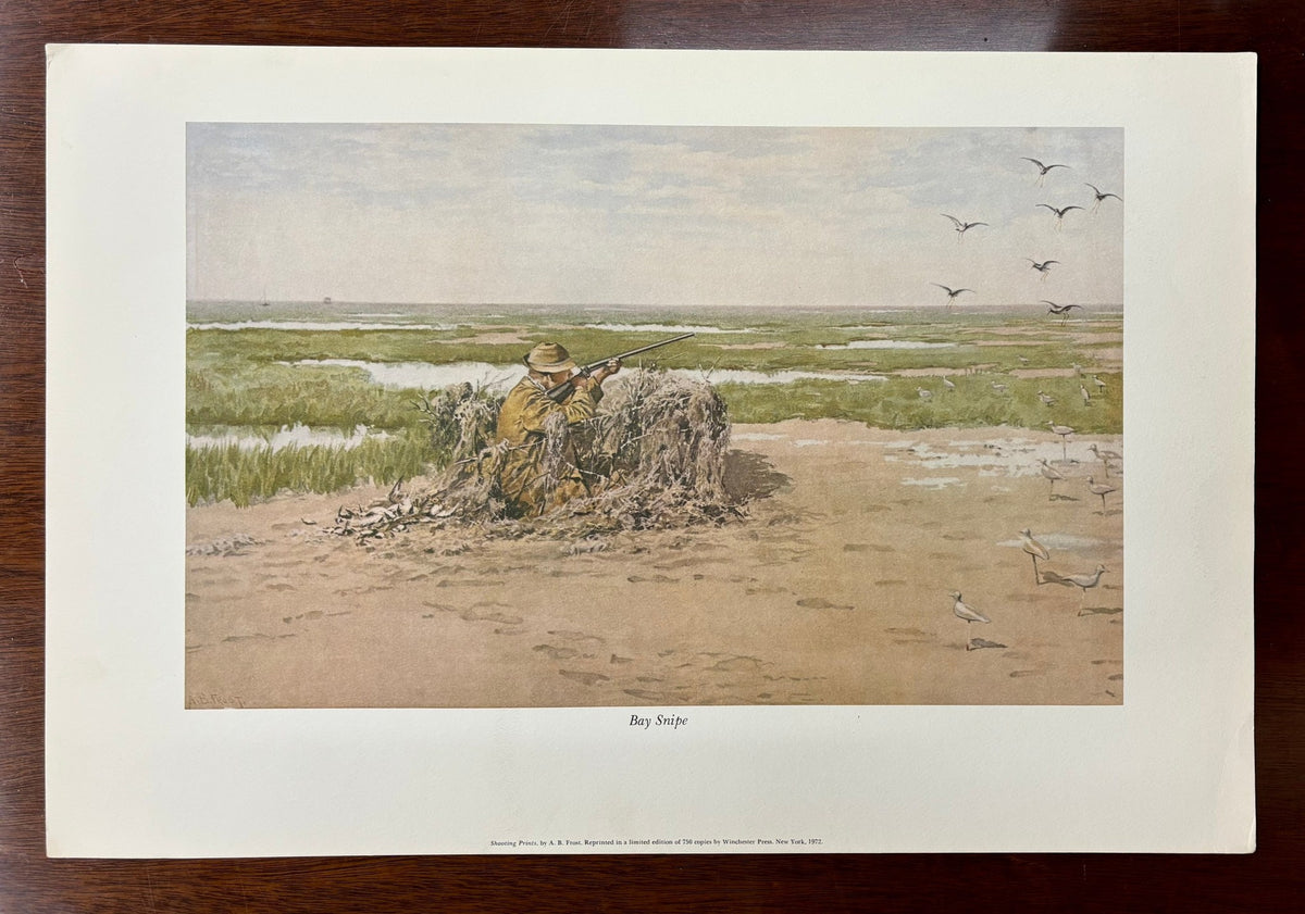 Bay Snipe by Arthur Burdett Frost (A. B. Frost)