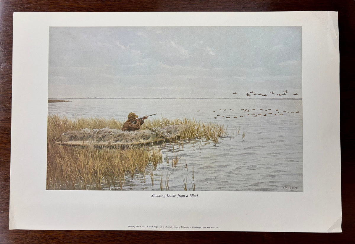 Shooting Ducks from a Blind by Arthur Burdett Frost (A. B. Frost)
