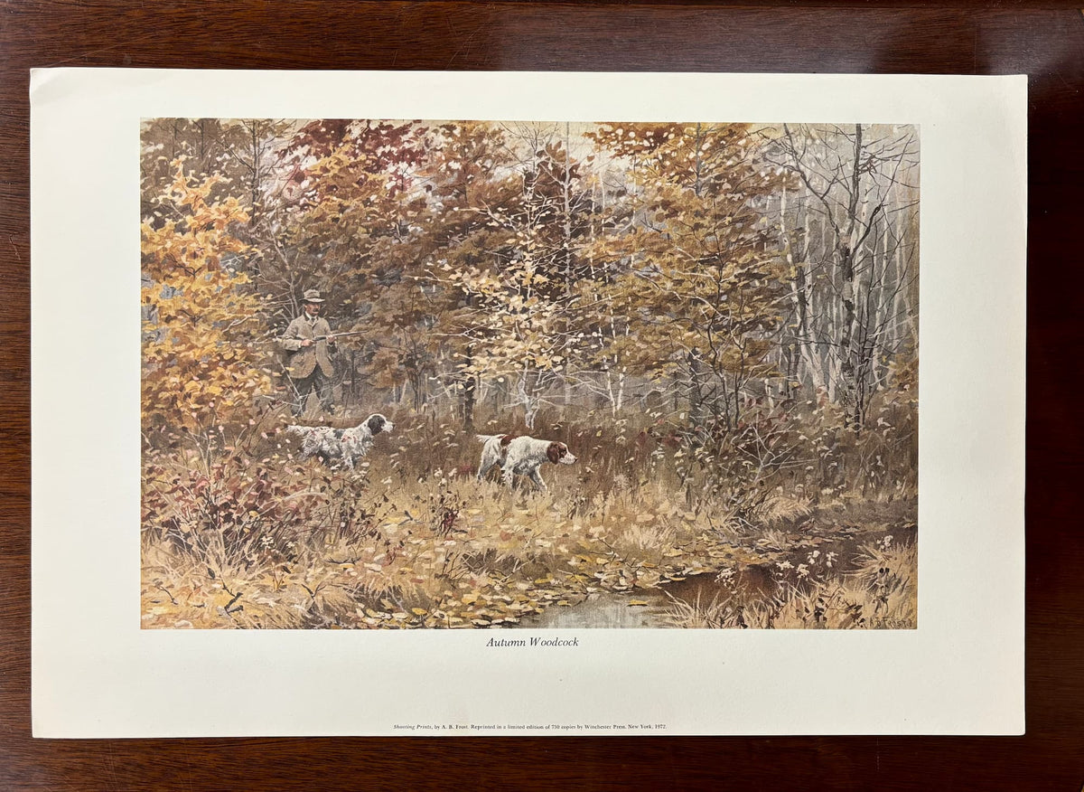 Autumn Woodcock by Arthur Burdett Frost (A. B. Frost)