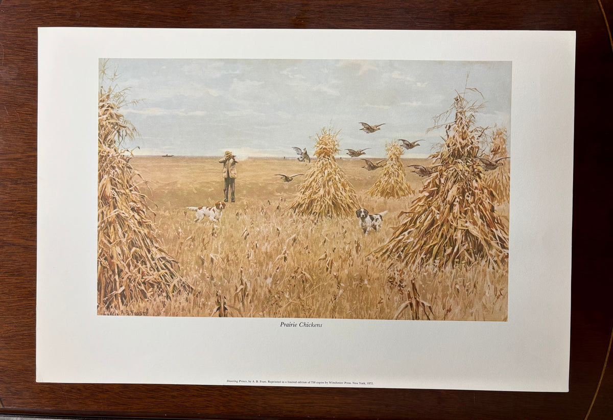 Prairie Chickens by Arthur Burdett Frost (A. B. Frost)