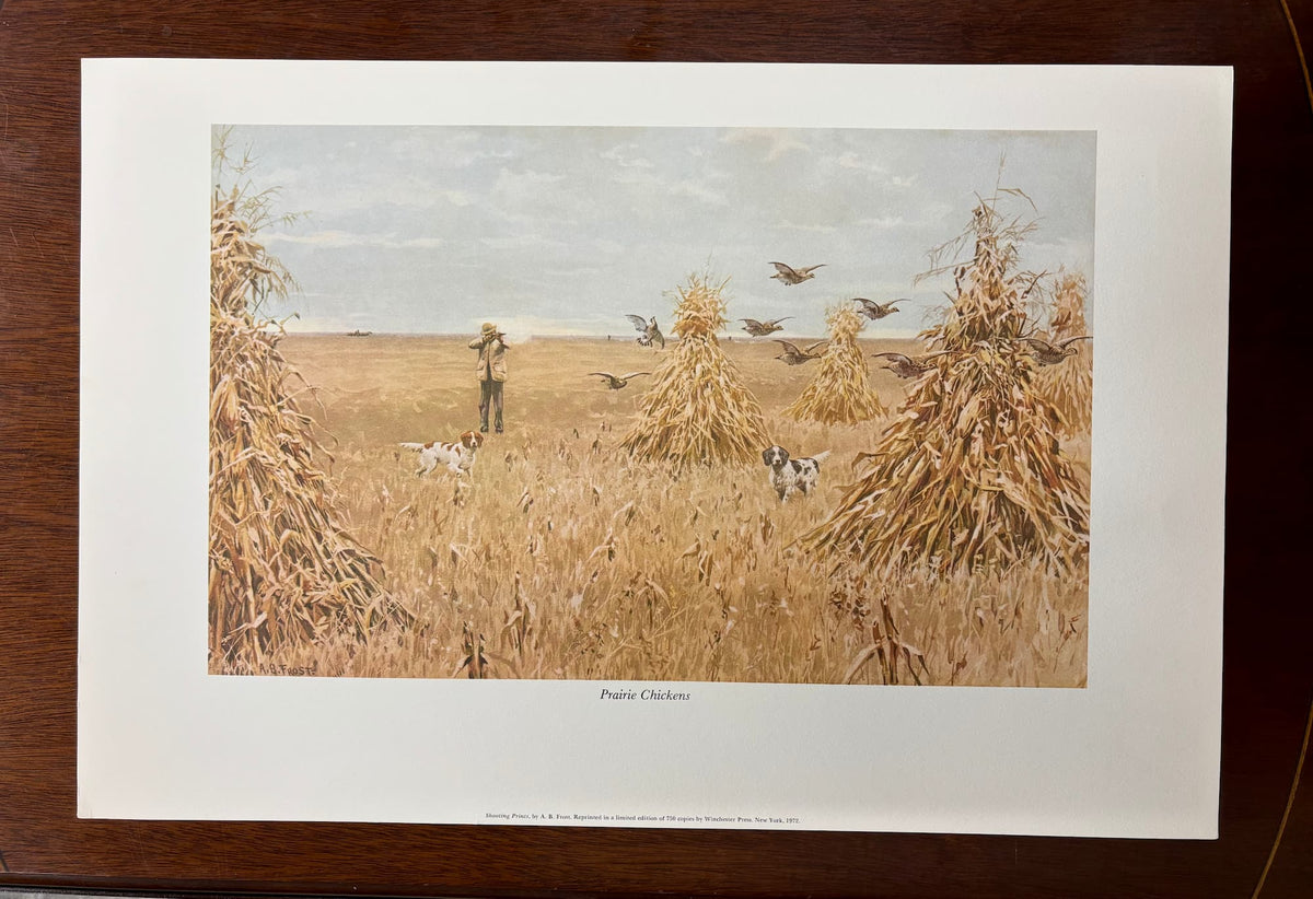 Prairie Chickens by Arthur Burdett Frost (A. B. Frost)