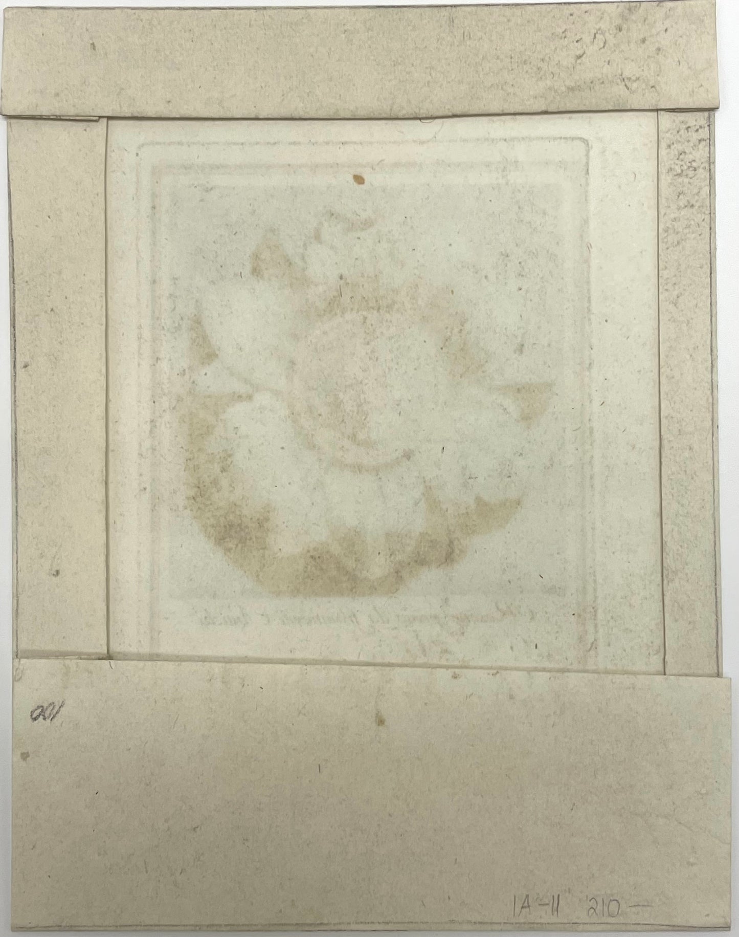 Architectural Rosette by Carlo Antonini