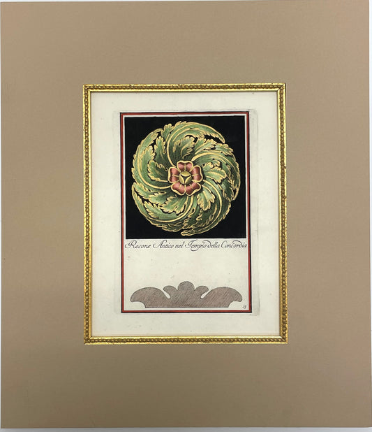 Architectural Rosette by Carlo Antonini