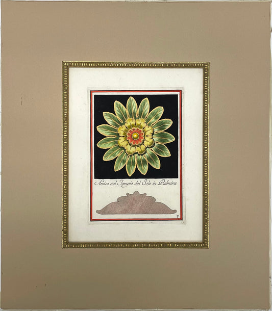 Architectural Rosette by Carlo Antonini
