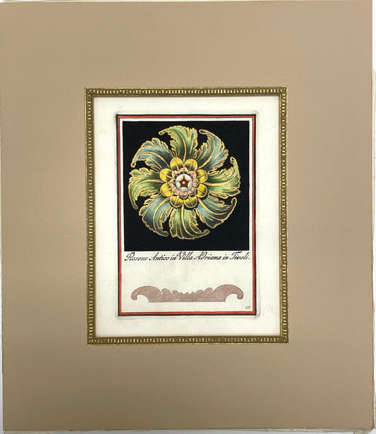 Architectural Rosette by Carlo Antonini