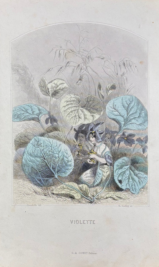 Violette by J.J. Grandville