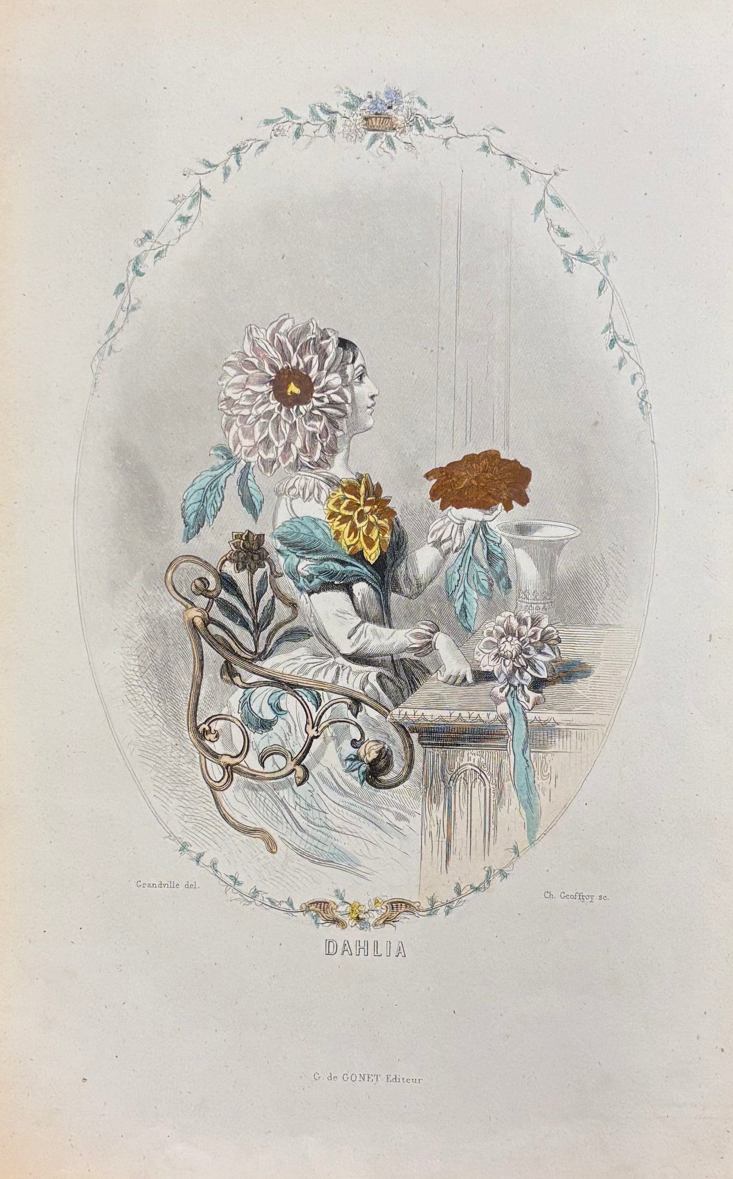 Dahlia by J.J. Grandville