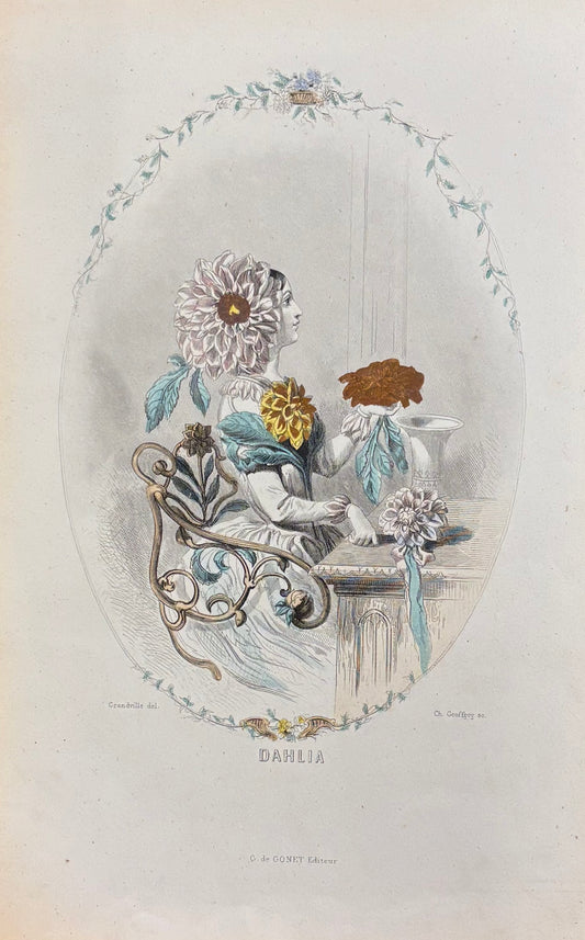 Dahlia by J.J. Grandville
