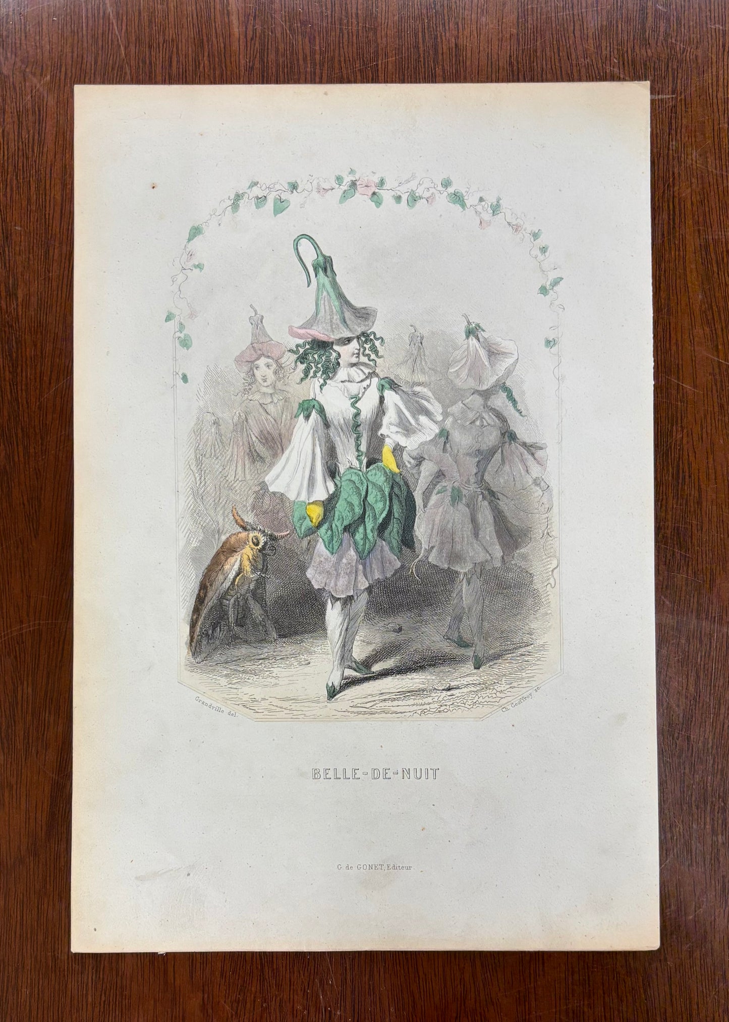 Belle-de-Nuit by J.J. Grandville