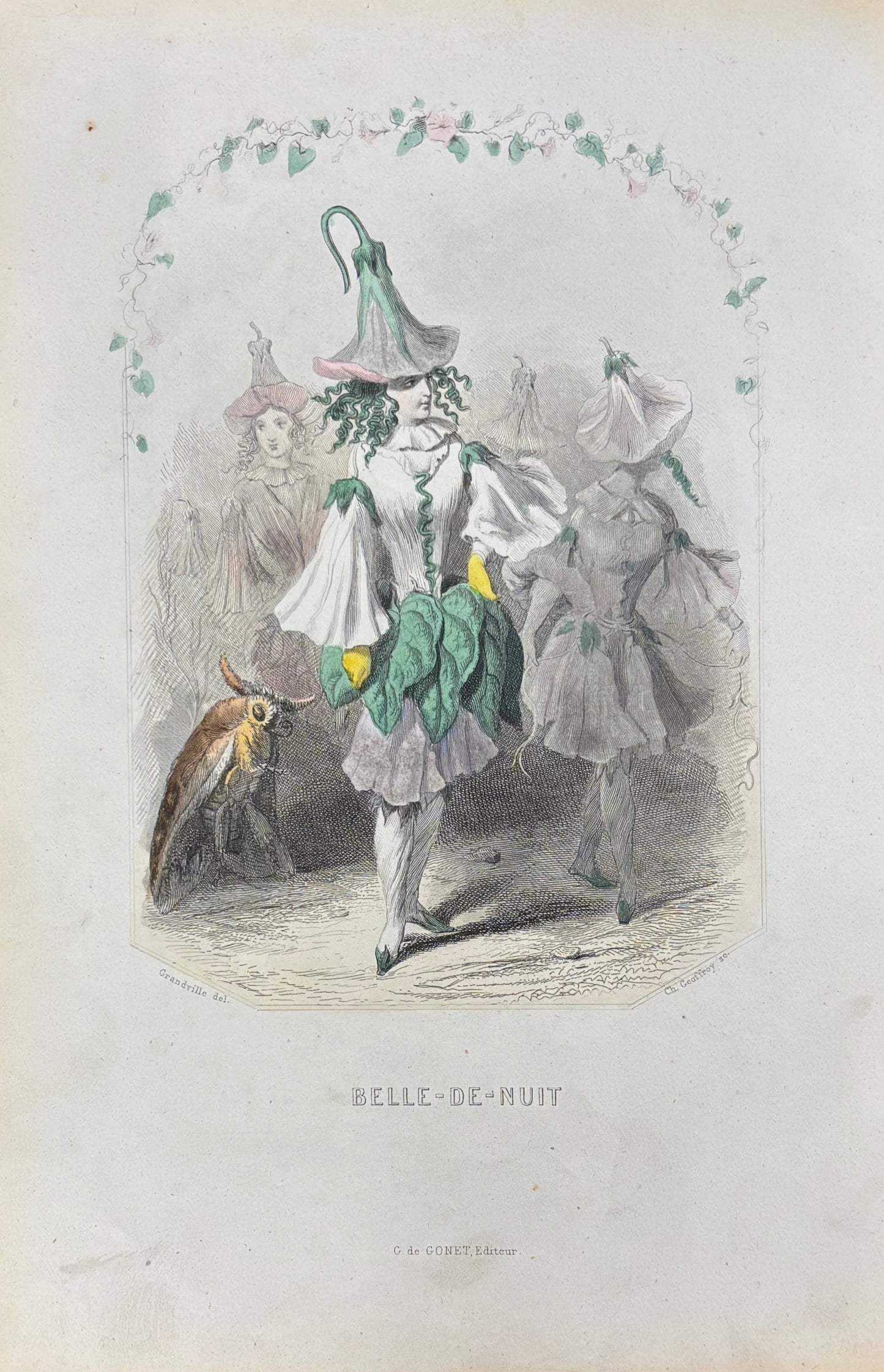 Belle-de-Nuit by J.J. Grandville