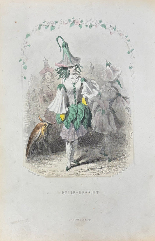 Belle-de-Nuit by J.J. Grandville