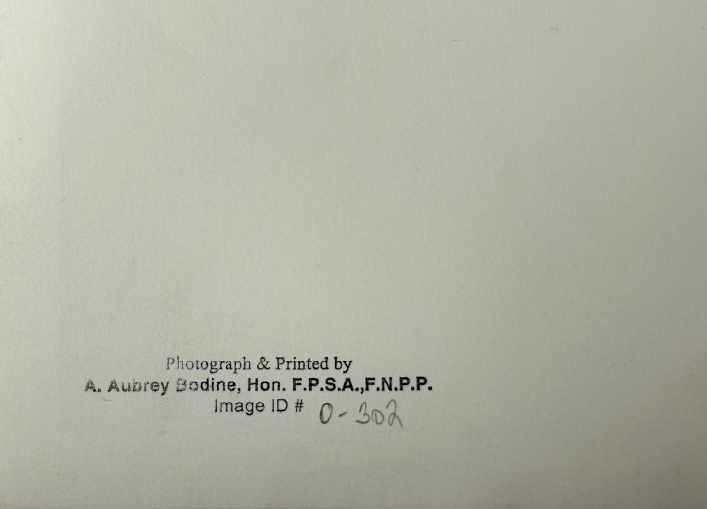 A. Aubrey Bodine, Calvert Street Baltimore, Signed Photograph, c.1965