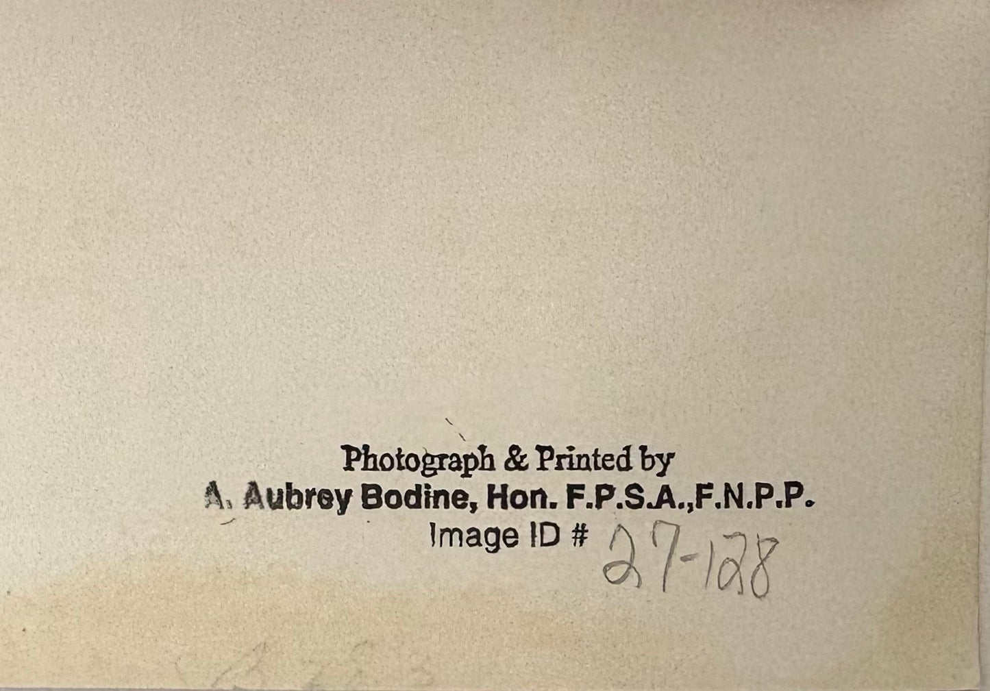 A. Aubrey Bodine Signed Photograph, Bird's Eye View of Baltimore