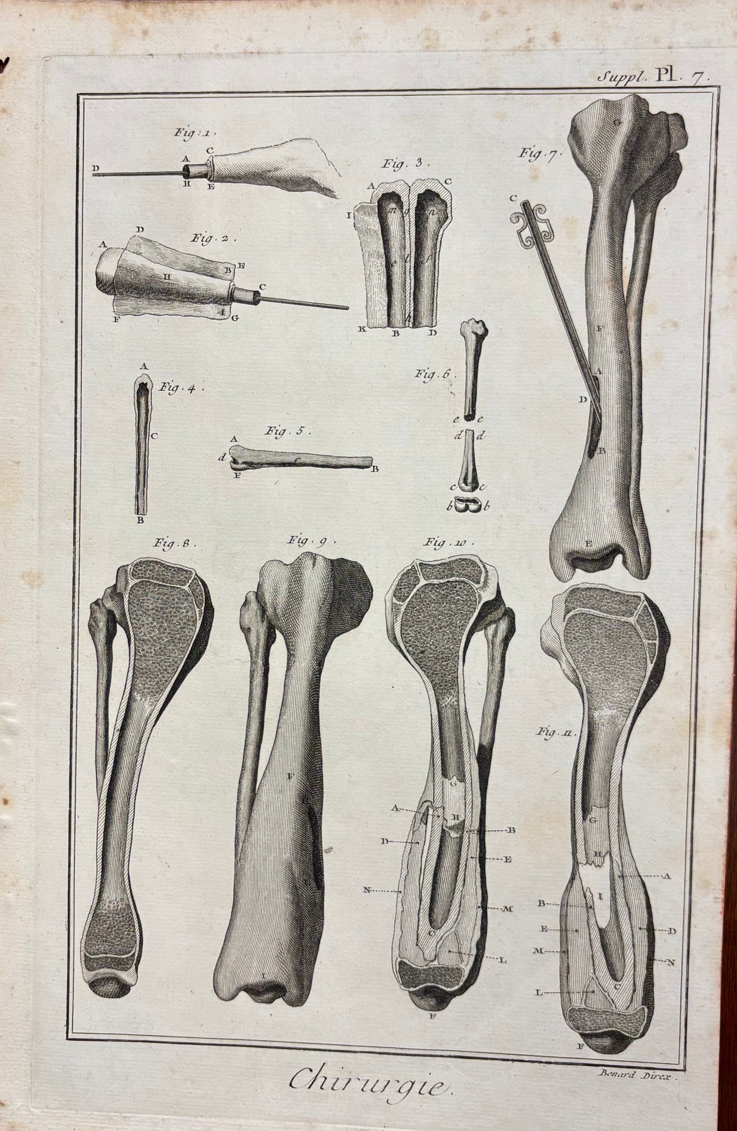 Plate 7, Long Bones by Louis-Jacques Goussier