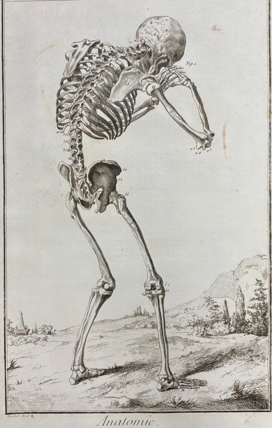 Grieving Skeleton by Louis-Jacques Goussier
