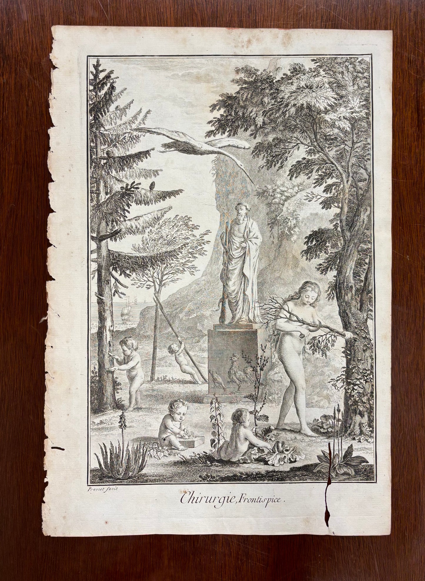 Allegory of Surgery  by B.L. Provost