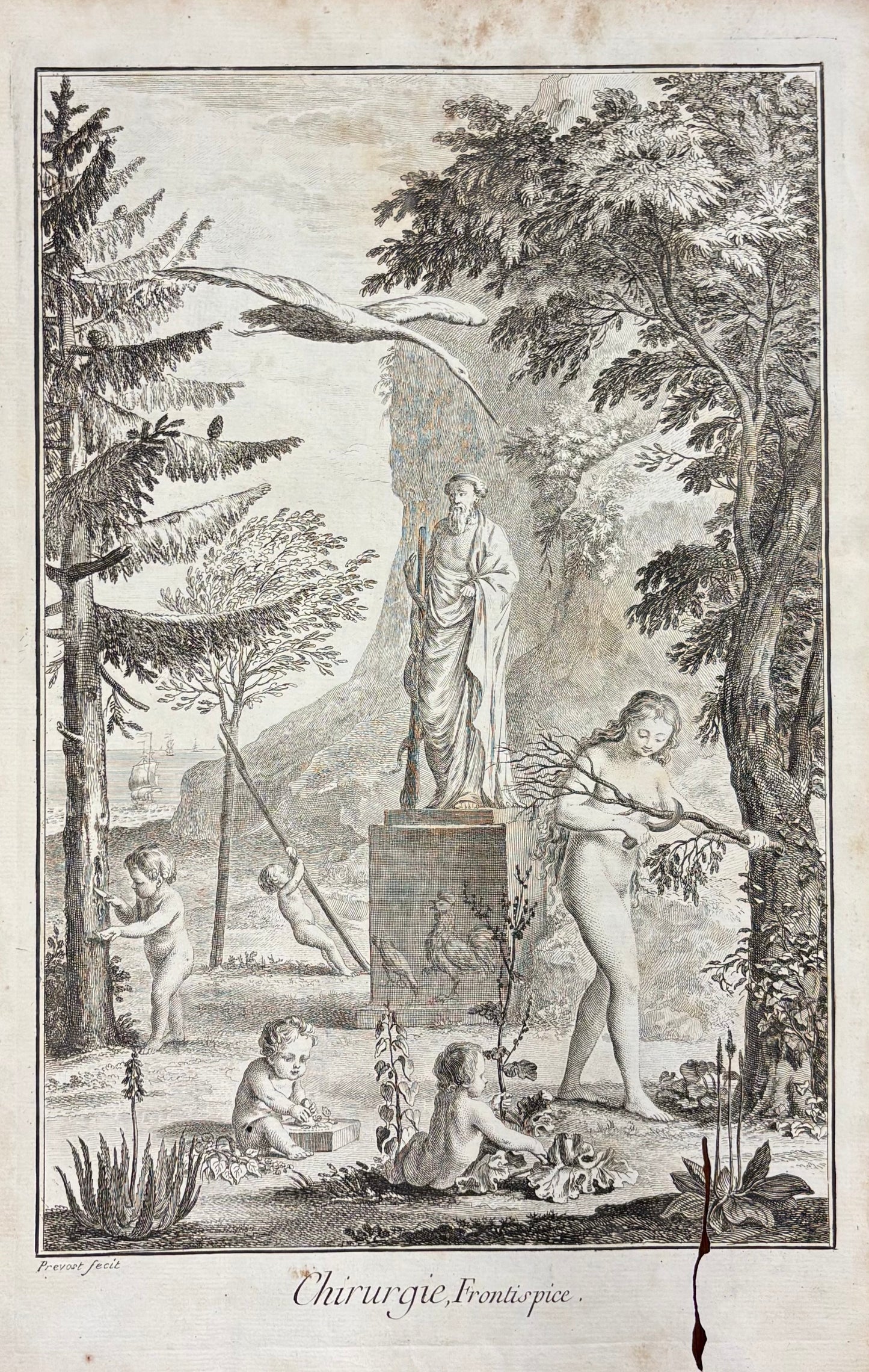 Allegory of Surgery  by B.L. Provost