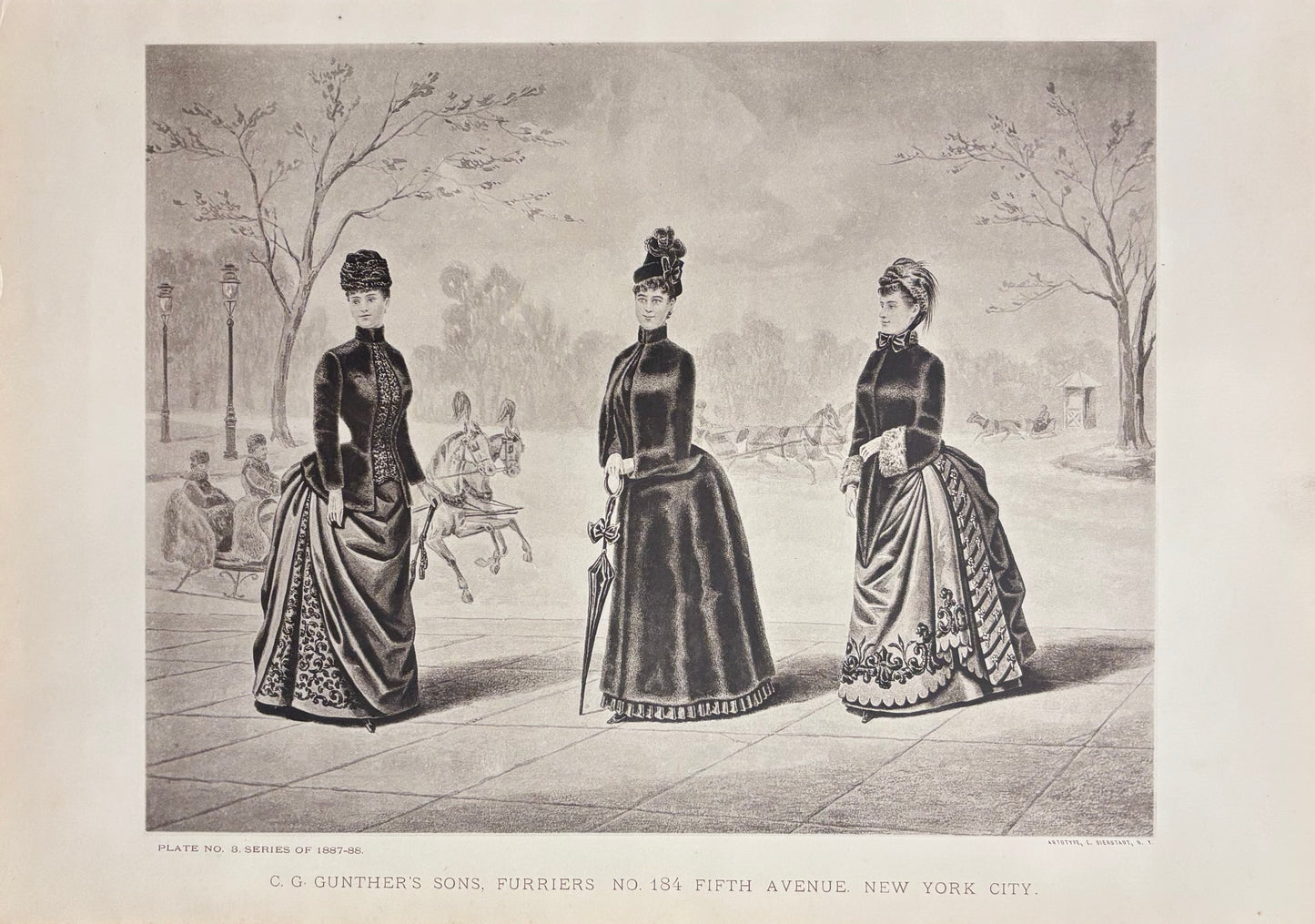 Plate No. 8 by Anonymous artist
