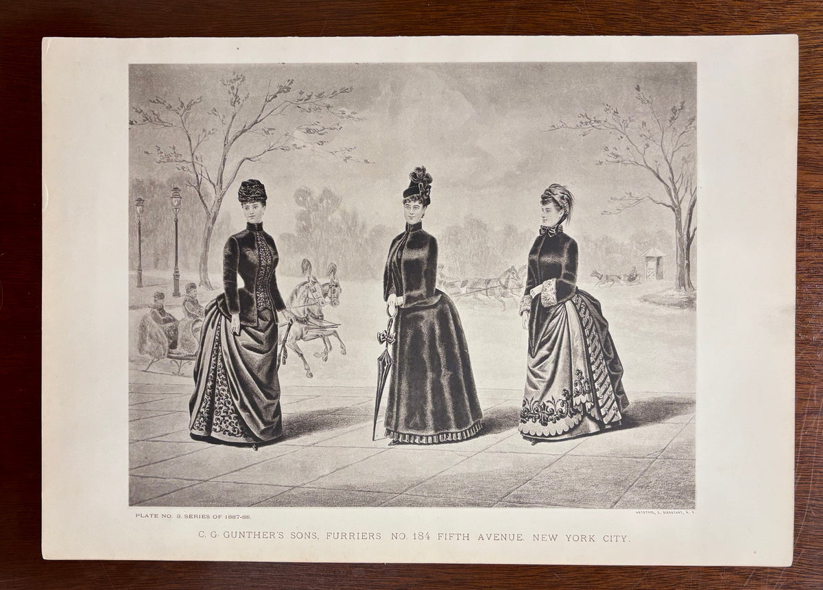 Plate No. 8 by Anonymous artist
