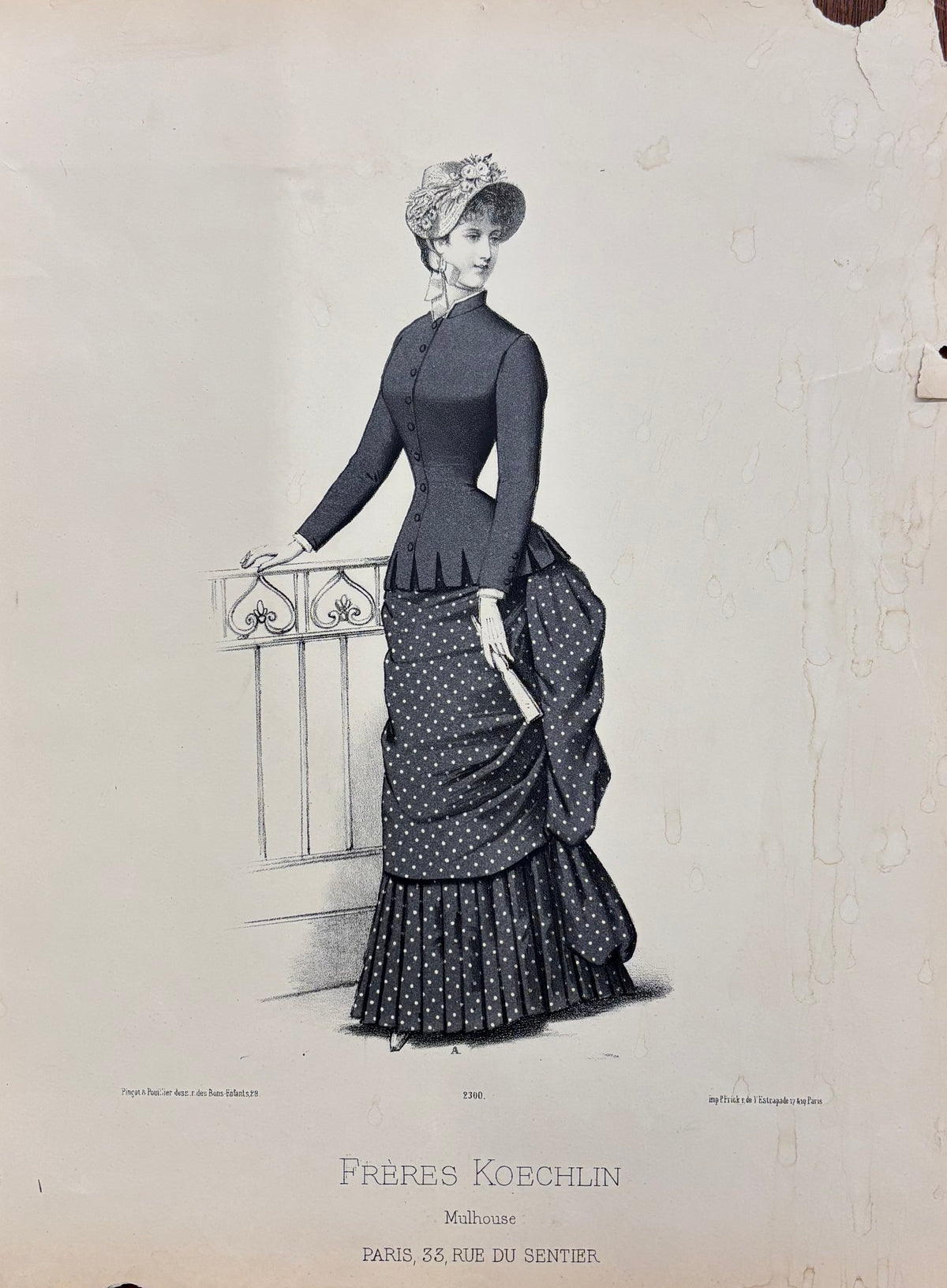 Plate 2300 by Pingot and Pouillier