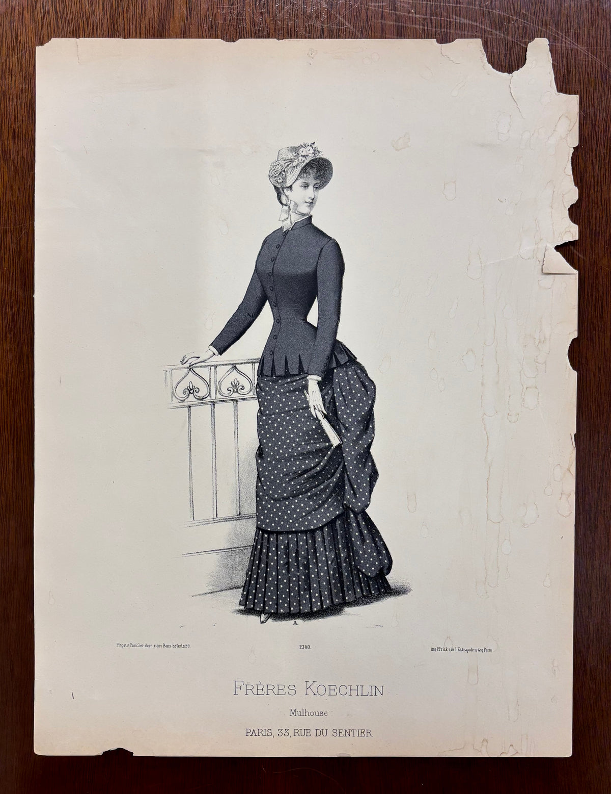 Plate 2300 by Pingot and Pouillier