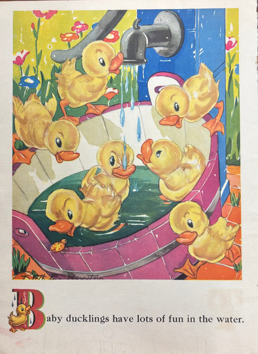 Baby Ducklings by Ruth E. Newton