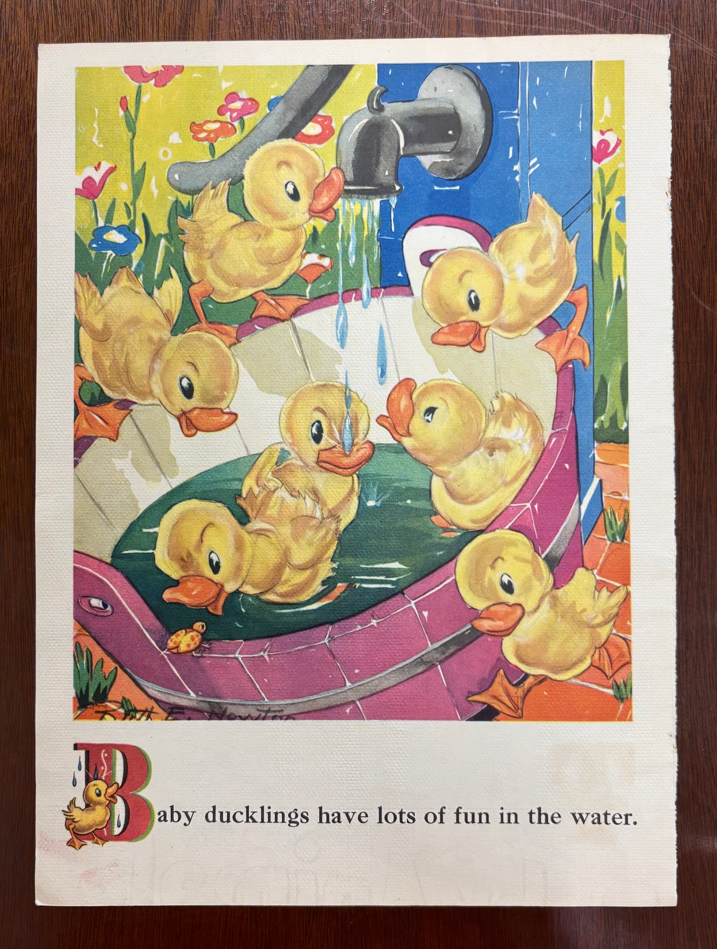 Baby Ducklings by Ruth E. Newton