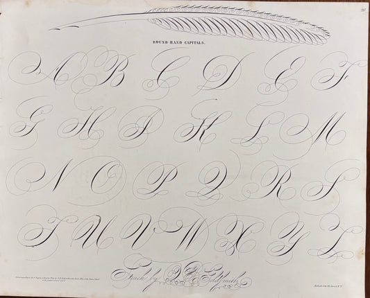 Round Hand Capitals by Oliver B. Goldsmith