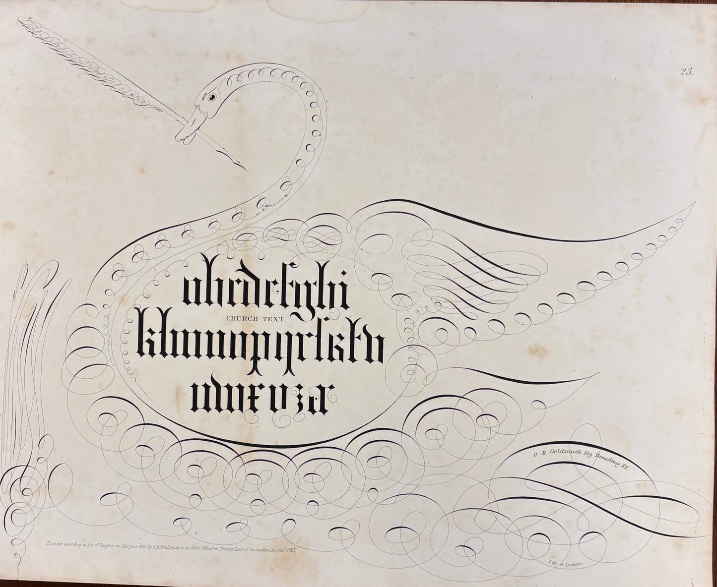 Swan and Church Text Script