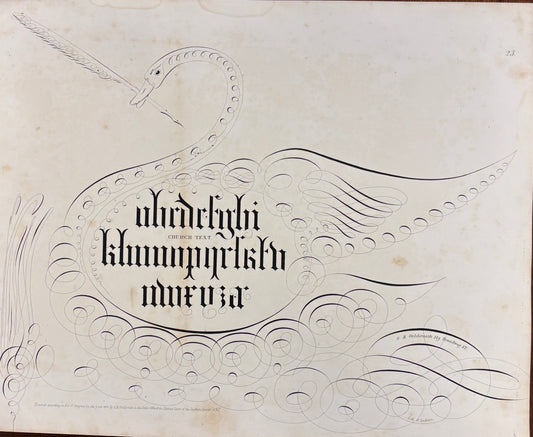 Swan and Church Text Script