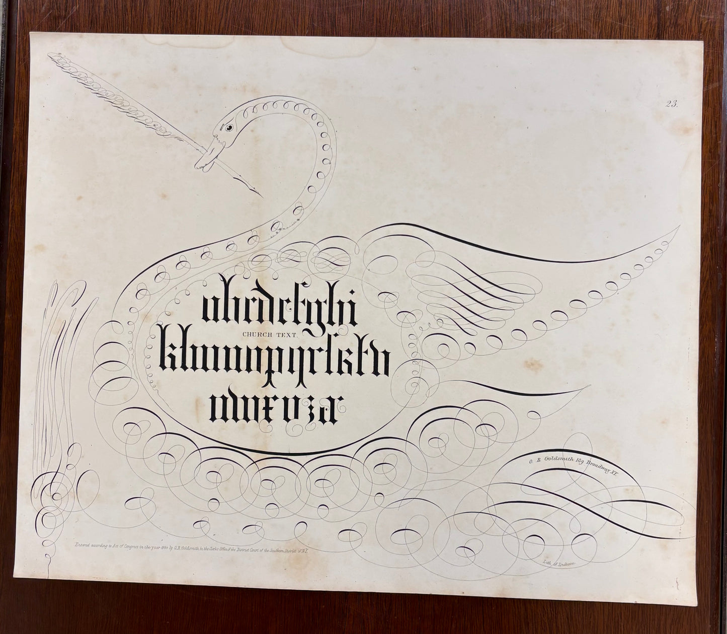 Swan and Church Text Script