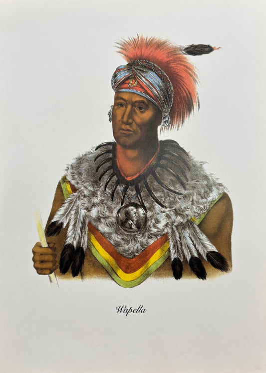 "Wapella" by Charles Bird King