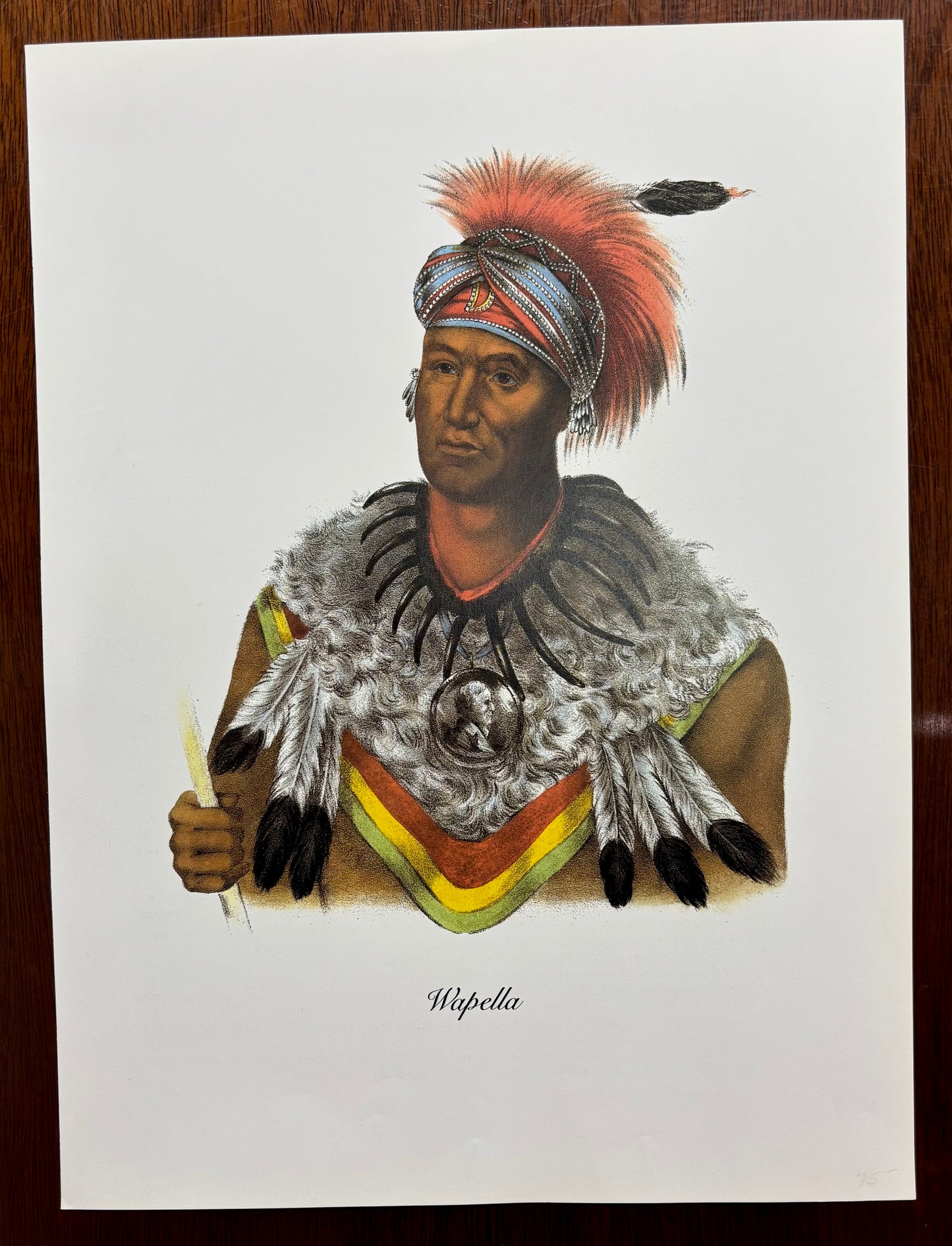 "Wapella" by Charles Bird King
