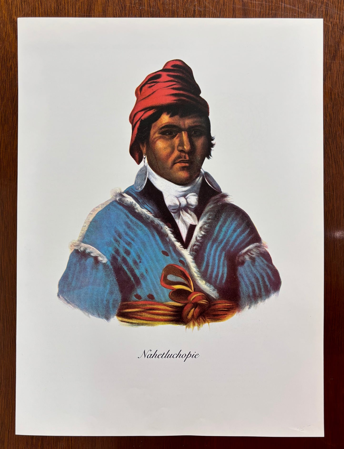 "Nehetluchopie" by Charles Bird King