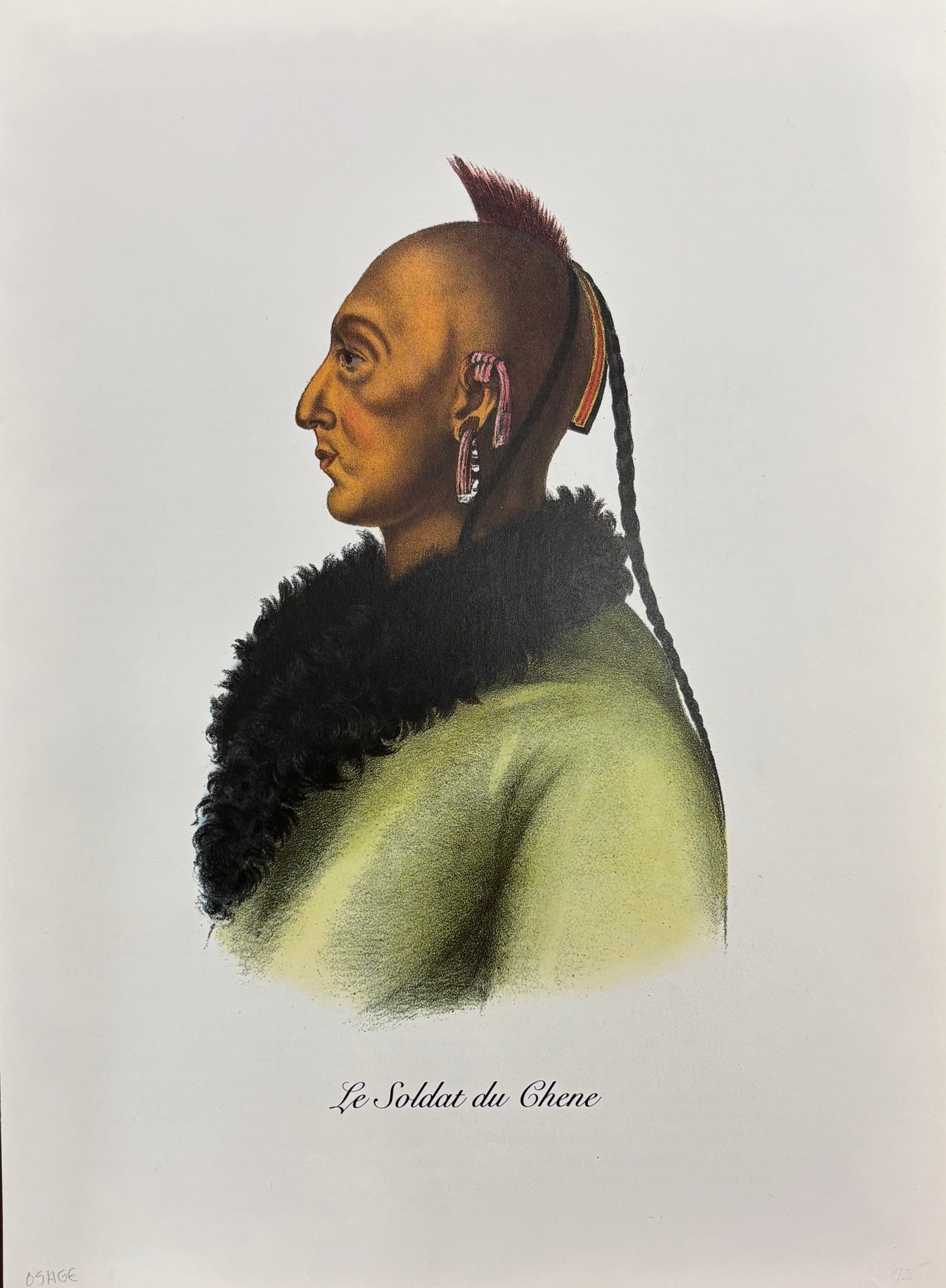“Le Soldat du Chene” by Charles Bird King