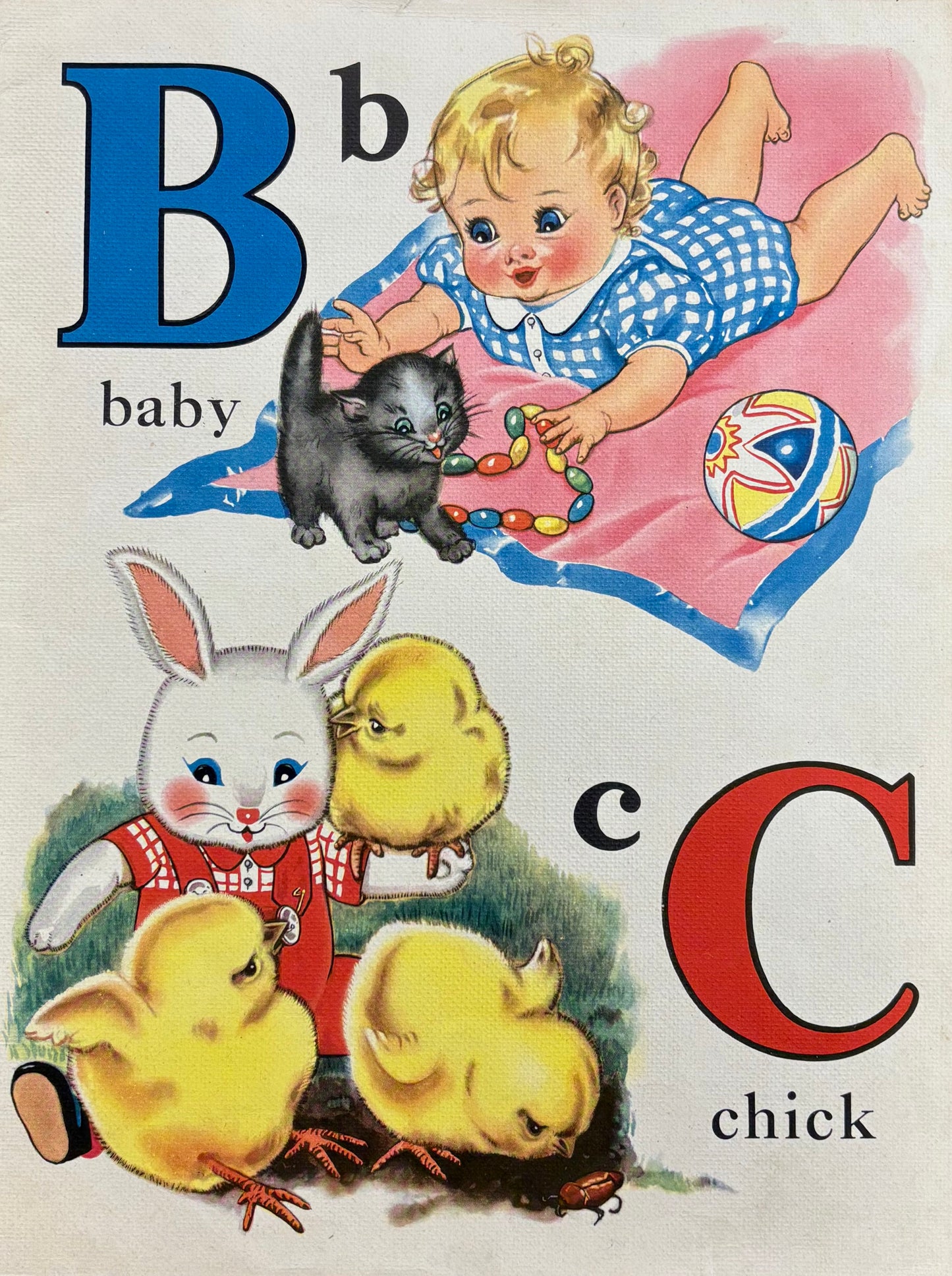 B and C by Vivian Robbins