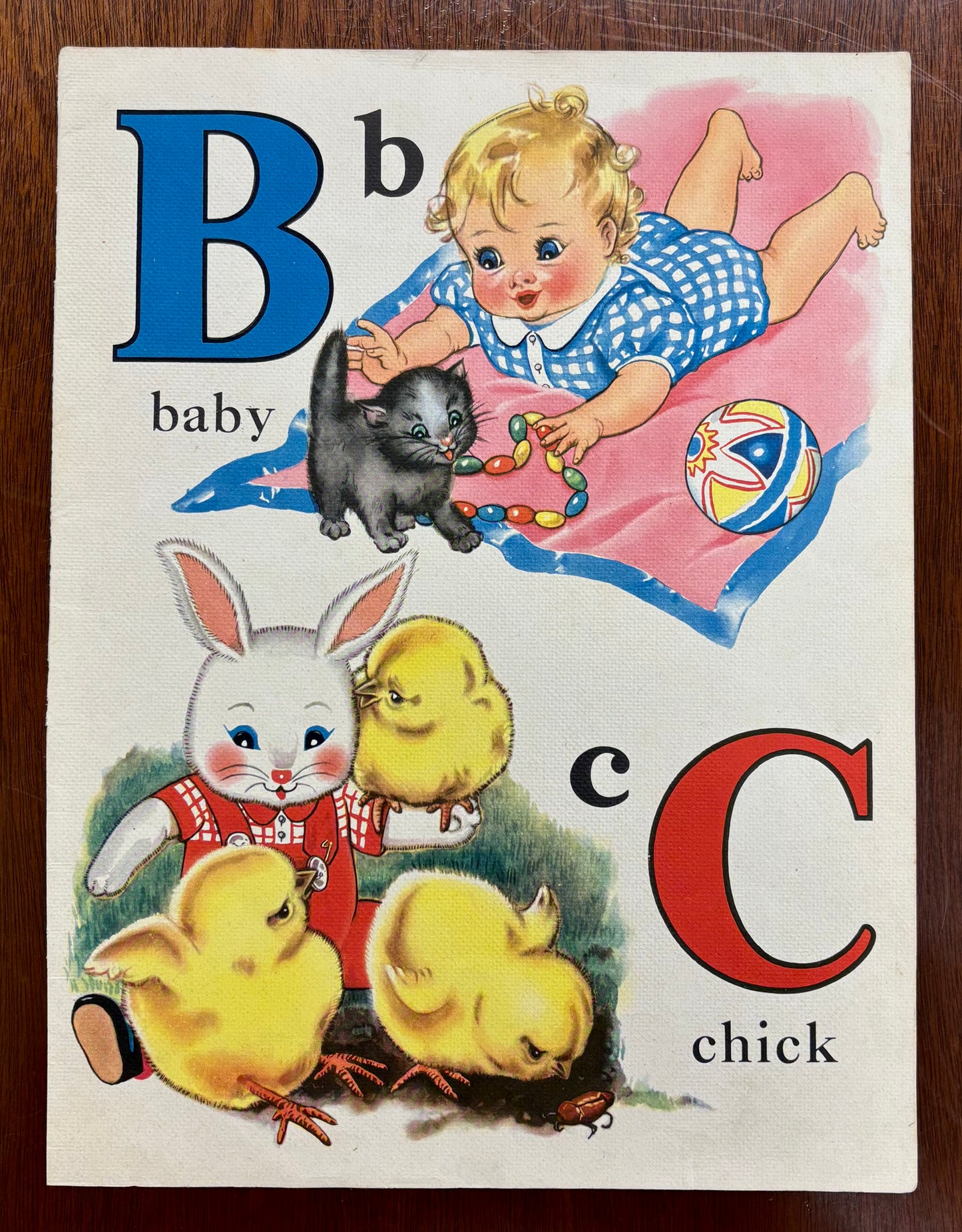 B and C by Vivian Robbins