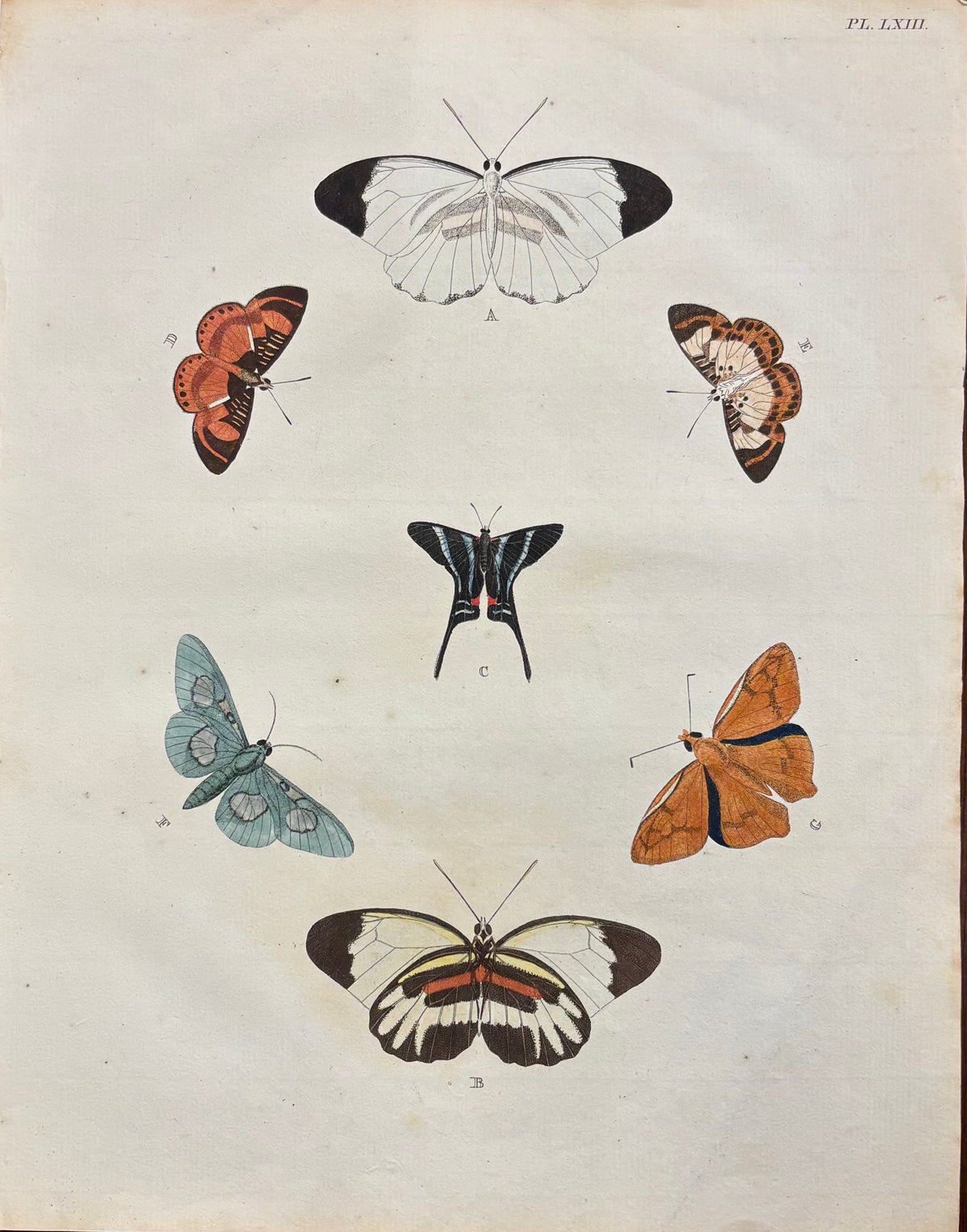 Plate LXVI by Anonymous Artist